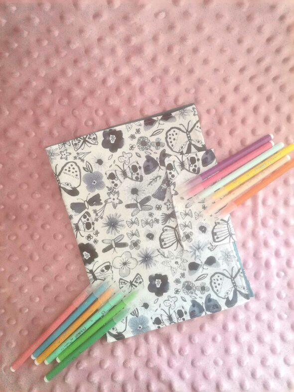 Cahier de coloriage lavable - Papillons bleu